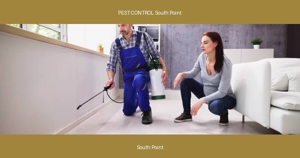 PEST CONTROL South Point